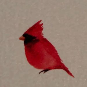 Meet your Posher, Kathi